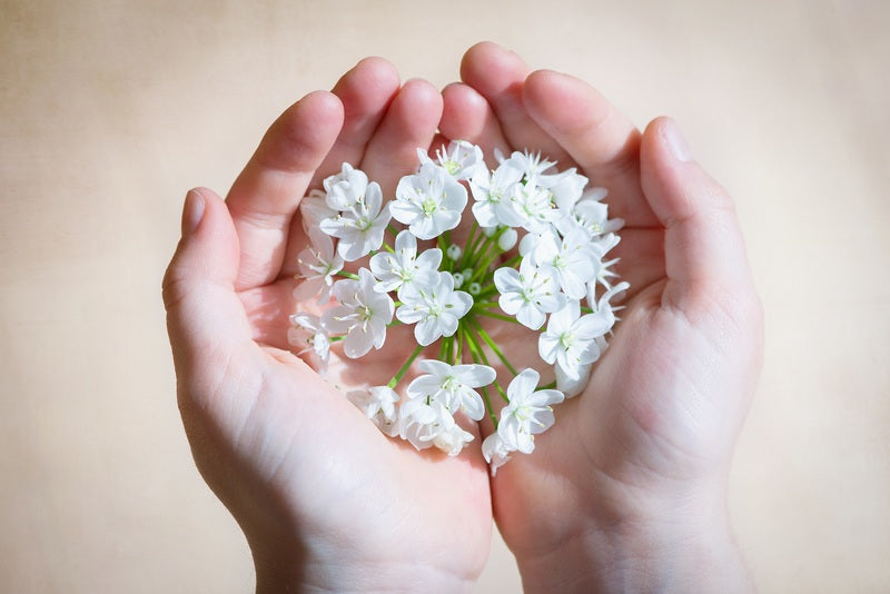 Make Your Loved Ones Happy by Gifting Them Gorgeous Blooms