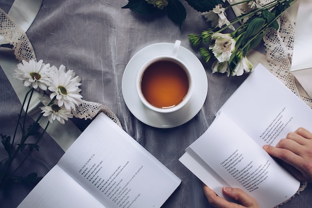 Love in Bloom: A Valentine's Day Collection of Romance Novels