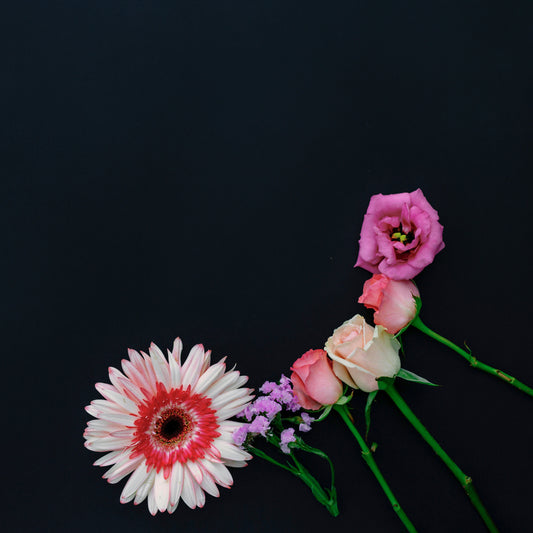 Best Flowers Near Me for Gifts in Singapore | FlowerAdvisor Singapore