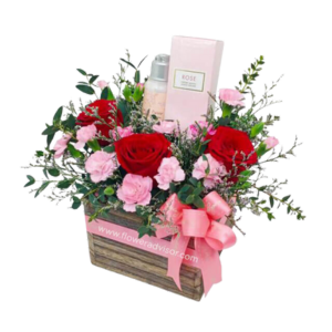 Fragrance & Toiletries