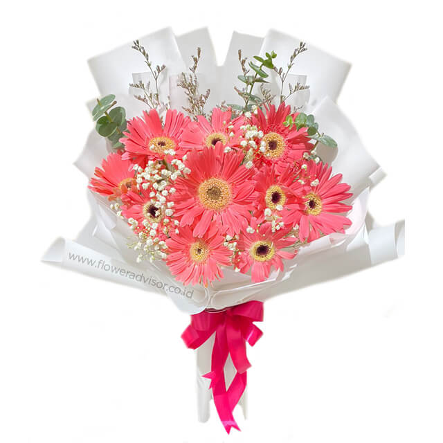 Pink gerbera daisy bouquet with white baby’s breath, perfect for flower delivery in Singapore