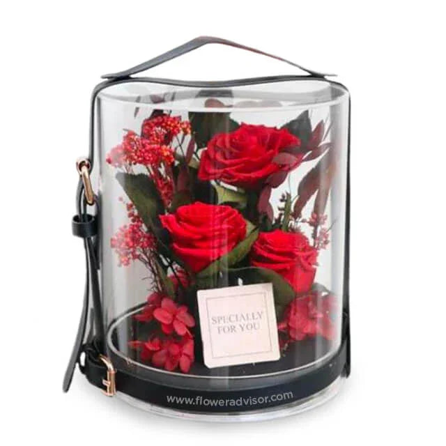 Red preserved flowers in a clear round case, perfect for flower delivery gift in Singapore