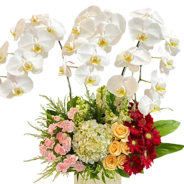 Elegant table flower arrangement with white orchids, roses, carnations, perfect for flower delivery