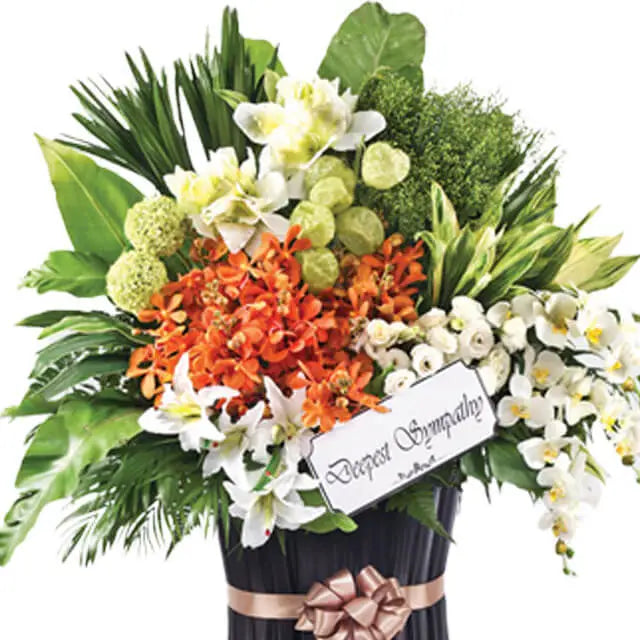 Benevolence Memories