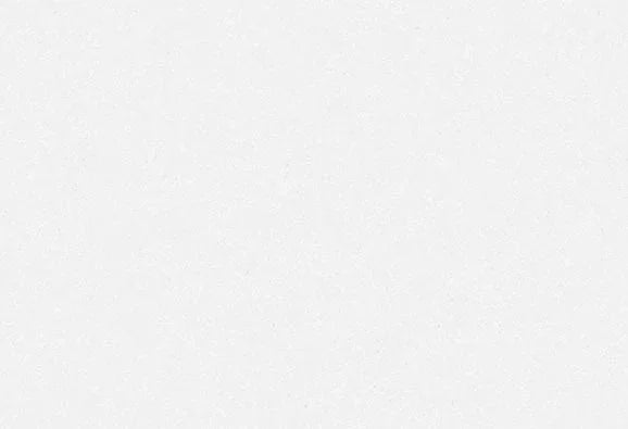 Blank white background, suitable for flower delivery website design.