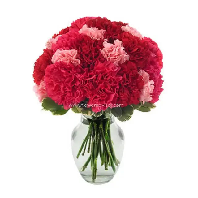 Mixed pink and red carnations in a clear vase, perfect for flower delivery in Singapore