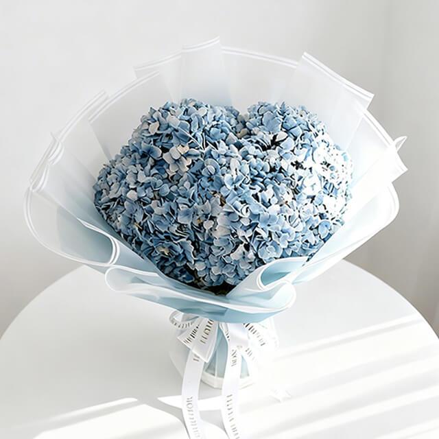 Hydrangea  Ocean Serenade