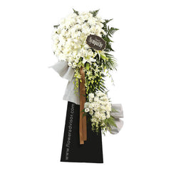 Restful Reflections Standing