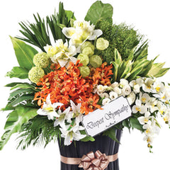 Benevolence Memories