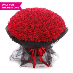 Every Day with You - VDAY