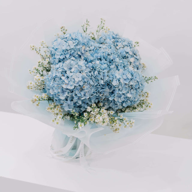 Hydrangea Azure Bloom