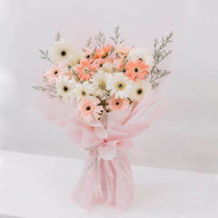 Celestial Gerbera