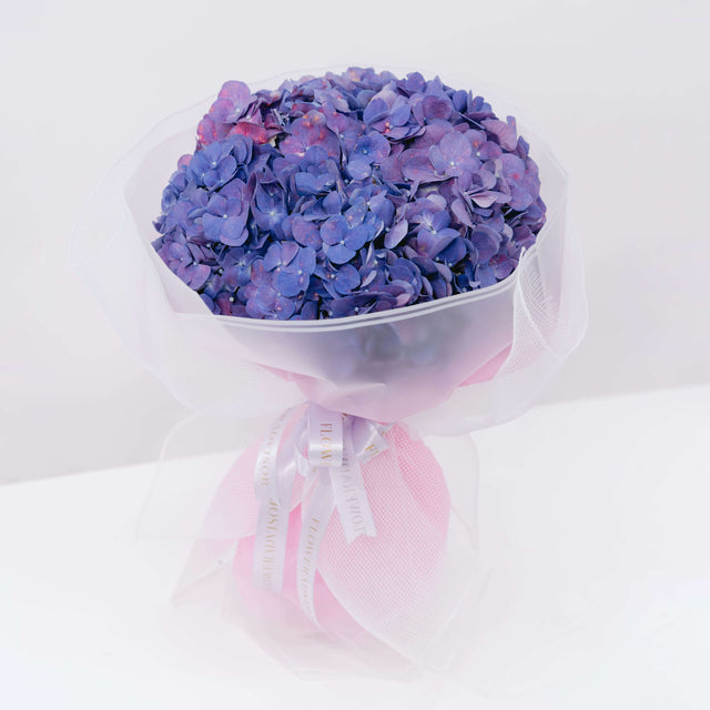 Violet Haze Hydrangea