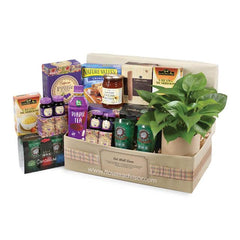 Flower delivery gift hamper with green plant and assorted snacks, ideal for get well soon wishes