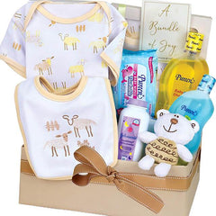 Newborn baby gift set with clothing, plush toy, and essentials, ideal for flower delivery gifts
