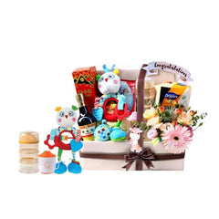Congratulatory flower delivery gift hamper with toys, snacks, wine, and pink flowers.