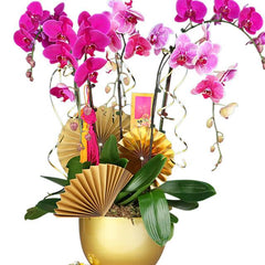 Pink orchid arrangement with gold fan accents in a golden pot for flower delivery