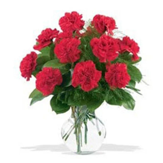 Red carnations in a glass vase, fresh flower delivery arrangement