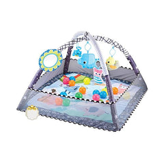 Baby play gym gift with colorful balls and hanging toys, available for flower delivery